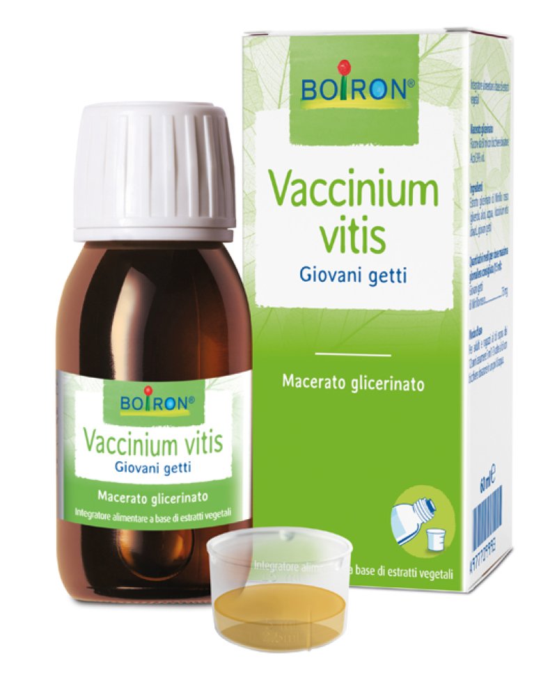 VACCINIUM VITIS BIO MG60ML INT