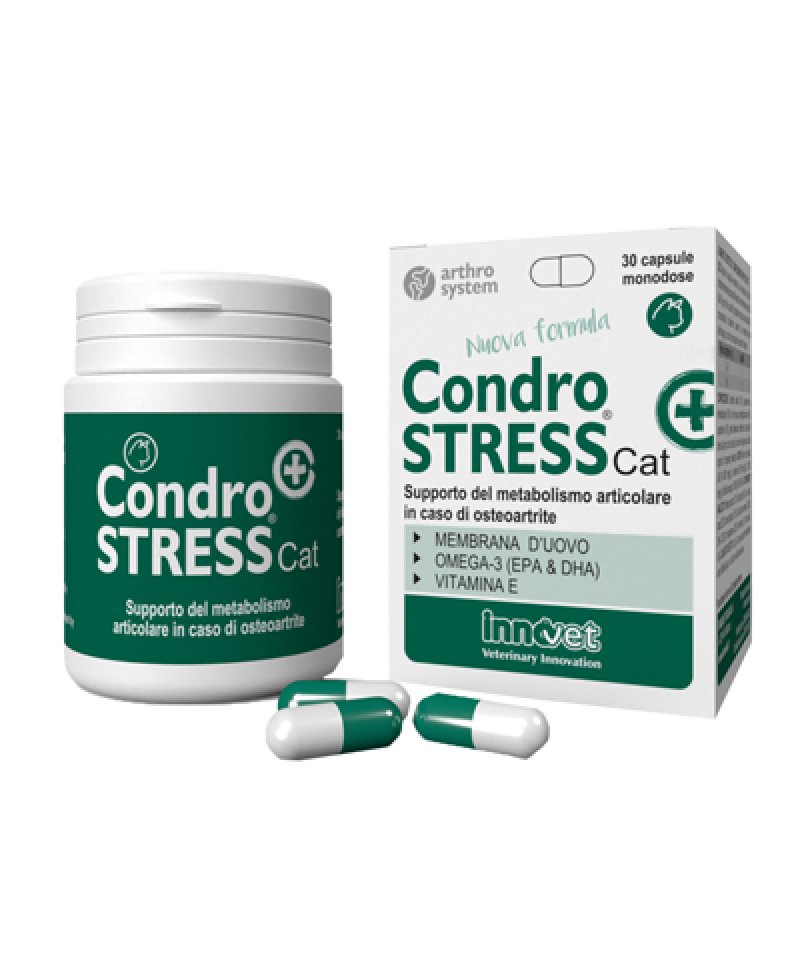 CONDROSTRESS + CAT 30 Capsule