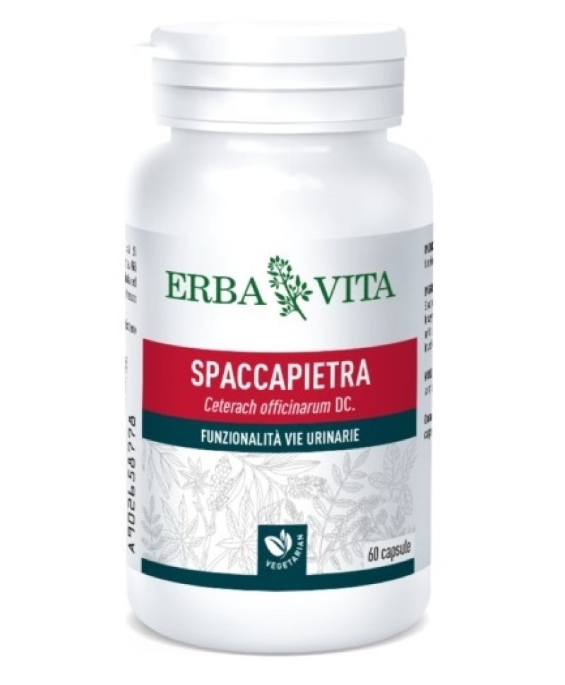 SPACCAPIETRA 60 Capsule N/F ERBAVIT