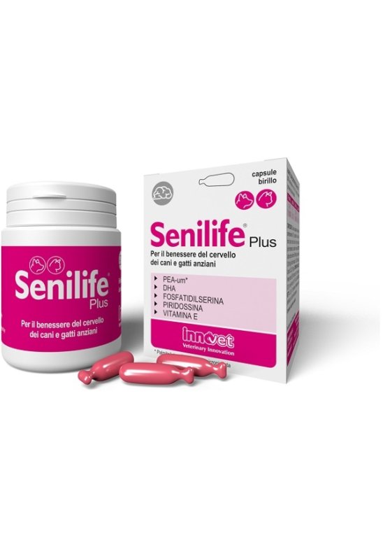 SENILIFE PLUS 30 Capsule