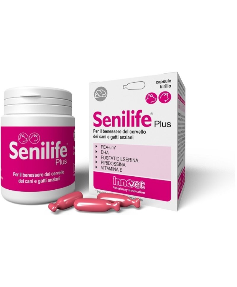 SENILIFE PLUS 60 Capsule