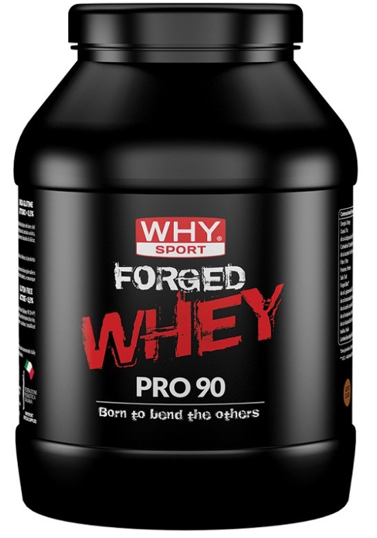 WHYSPORT FORGED WHEY CACAO900G