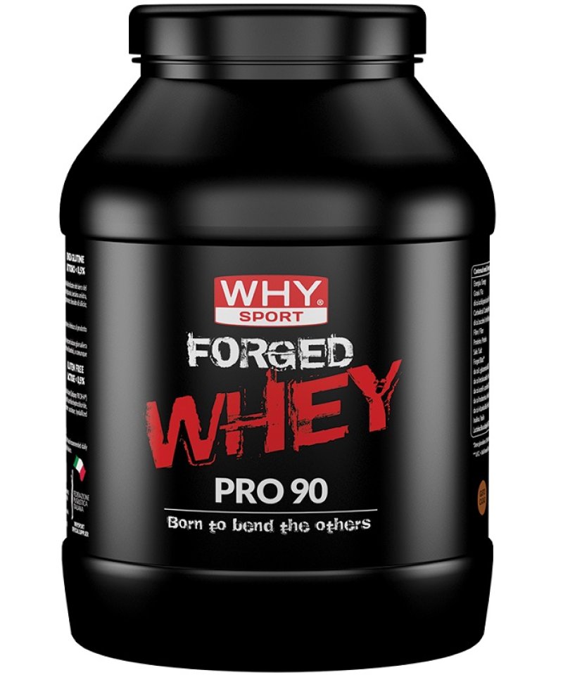 WHYSPORT FORGED WHEY CACAO900G