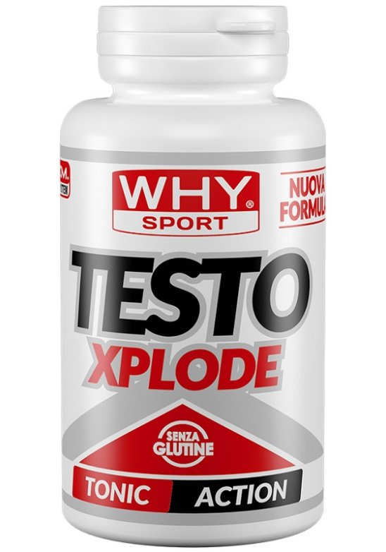 WHYSPORT TESTO XPLODE 90CPR NF