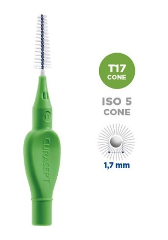 CURASEPT PROXI T17 CONE VE/GRE