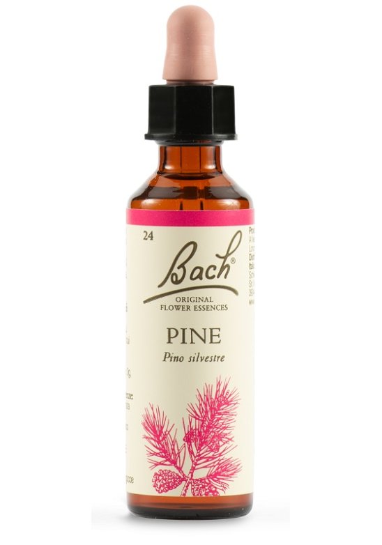 PINE BACH ORIG 20ML