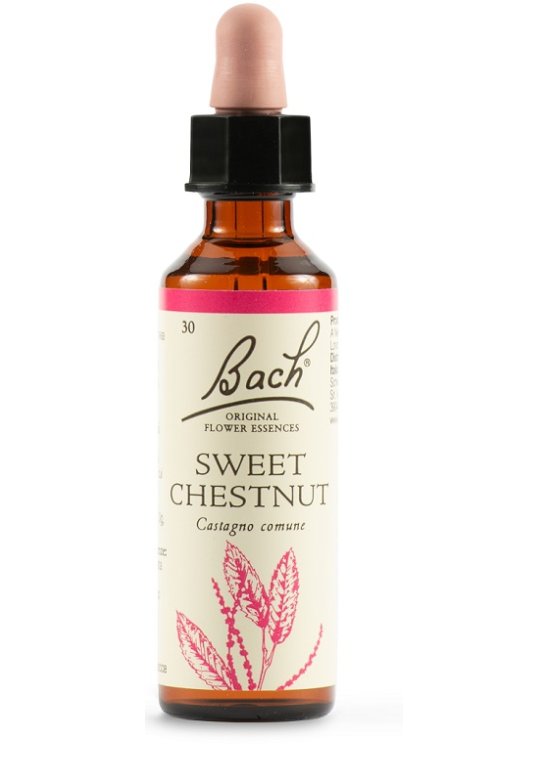 SWEET CHEST BACH ORIG 20ML