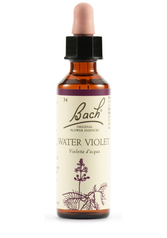 WATER VIOL BACH ORIG 20ML