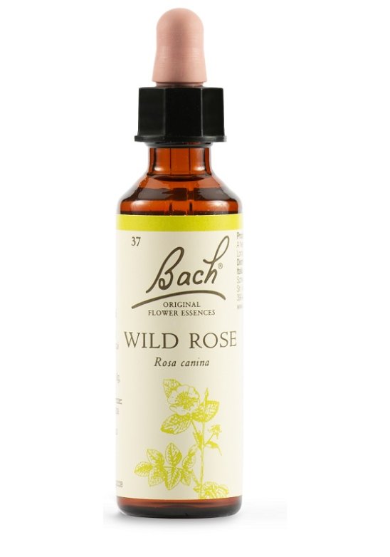 WILD ROSE BACH ORIG 20ML