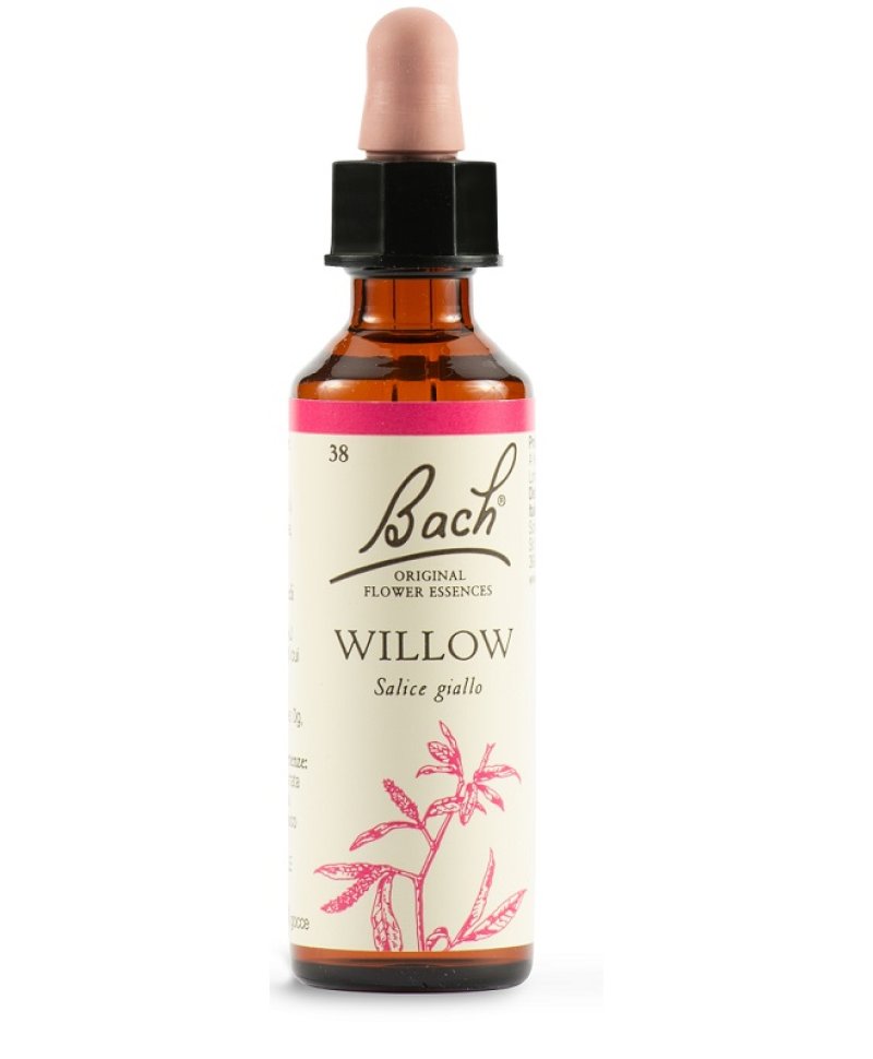 WILLOW BACH ORIG 20ML