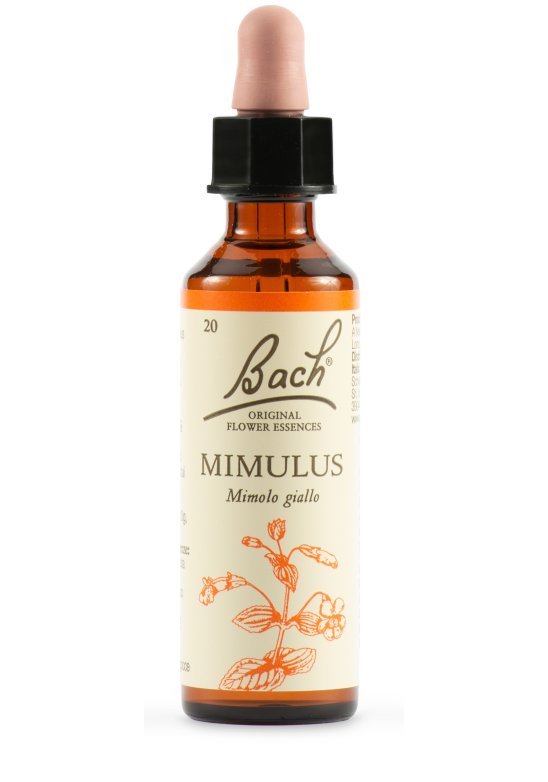 MIMULUS BACH ORIG 20ML