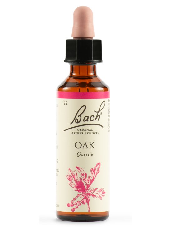 OAK BACH ORIG 20ML