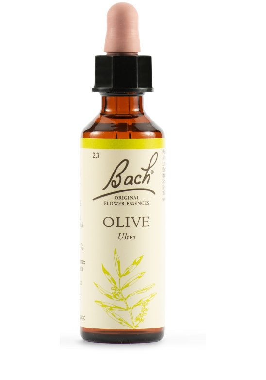 OLIVE BACH ORIG 20ML