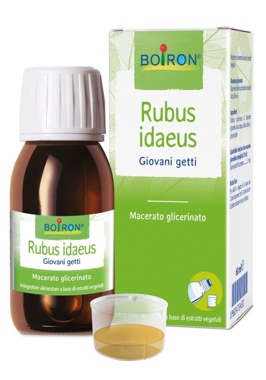 RUBUS IDAEUS GIOV GETTI 60ML