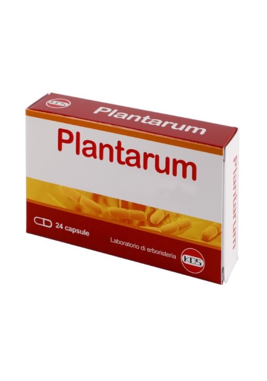 PLANTARUM 10MLD 24 Capsule