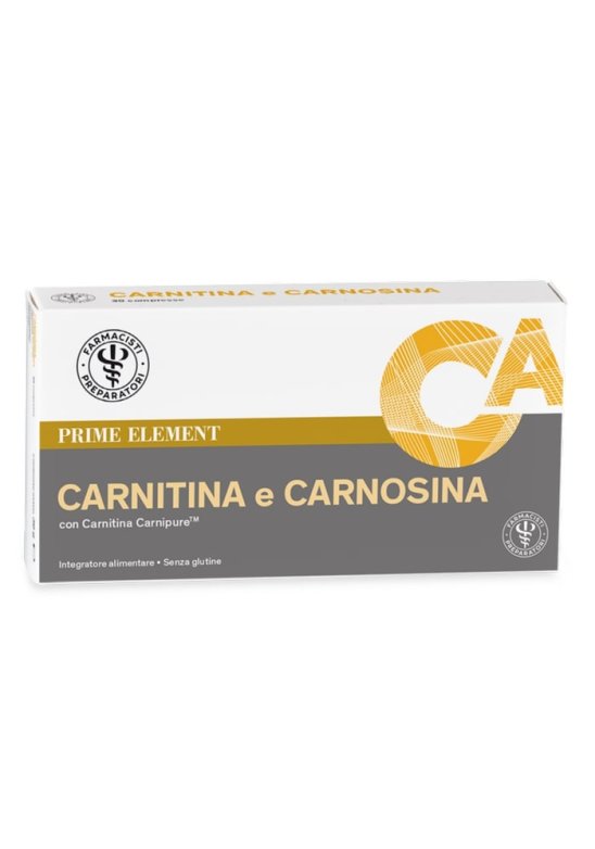 LFP CARNITINA CARNOSINA 39G PR