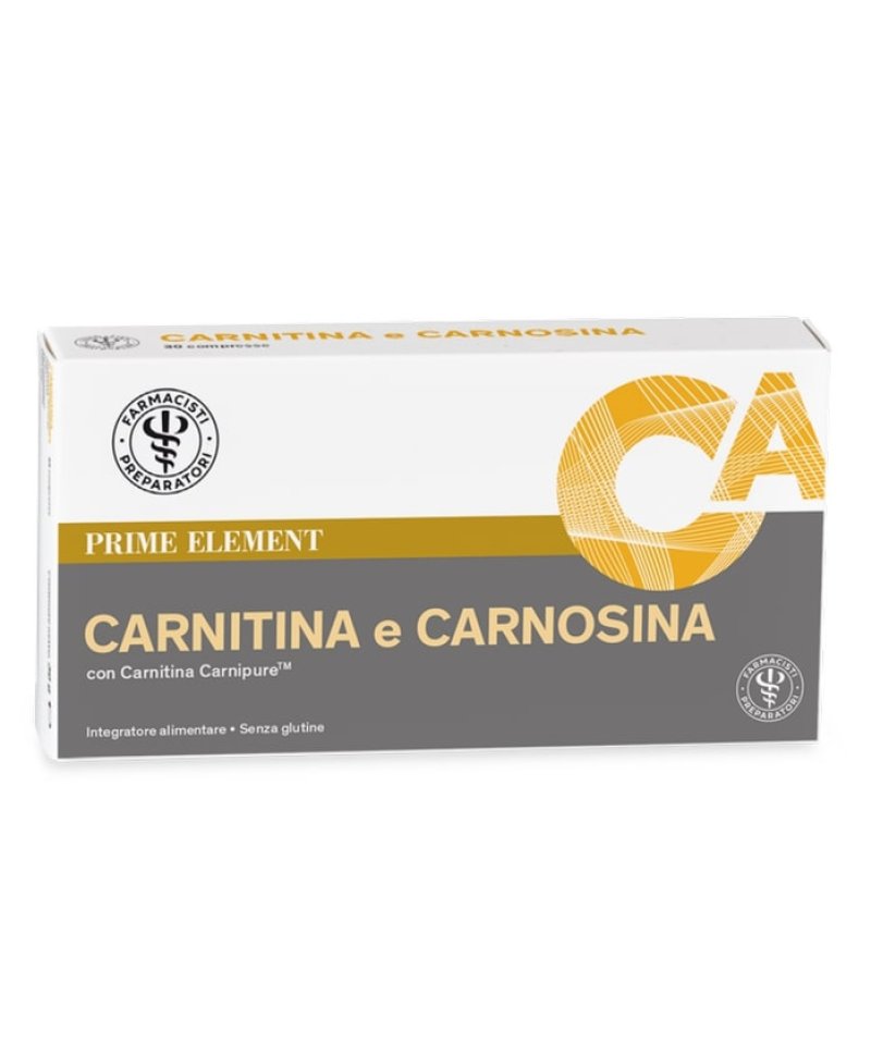 LFP CARNITINA CARNOSINA 39G PR