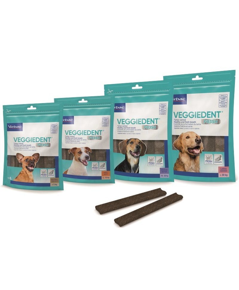 V VEGGIEDENT FR3SH L 15STICK >30