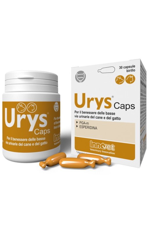 URYS CAPS 30 Capsule