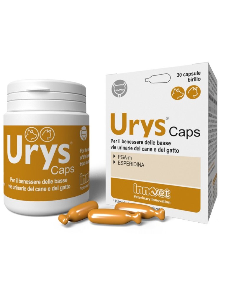 URYS CAPS 30 Capsule