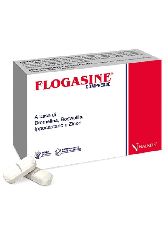 FLOGASINE 20 Compresse