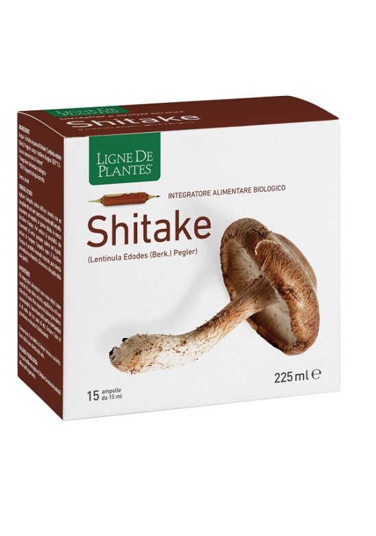 LIGNE SHITAKE BIO 15AMP 15ML