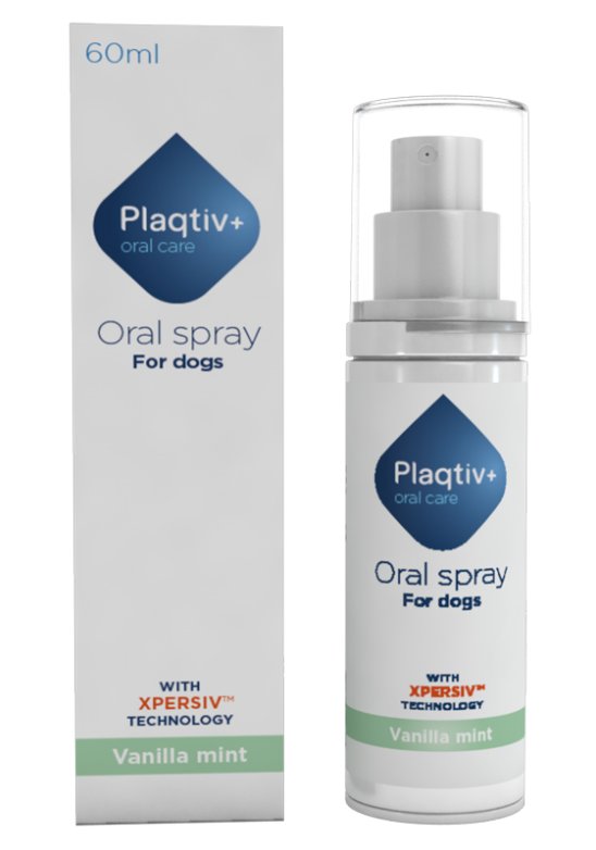 V PLAQTIV+ ORALCARE SPRAY ORALE