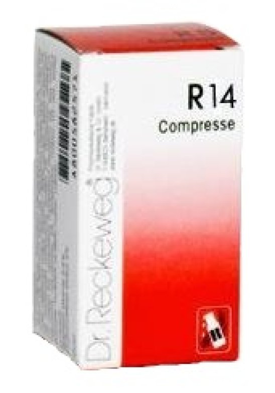 RECKEWEG R14 100 Compresse 0,1G