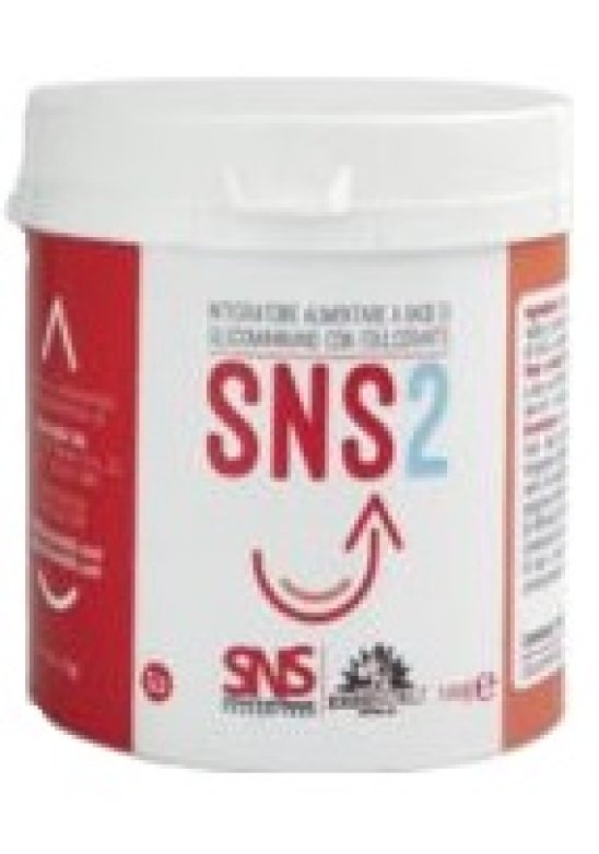 SNS2 100G