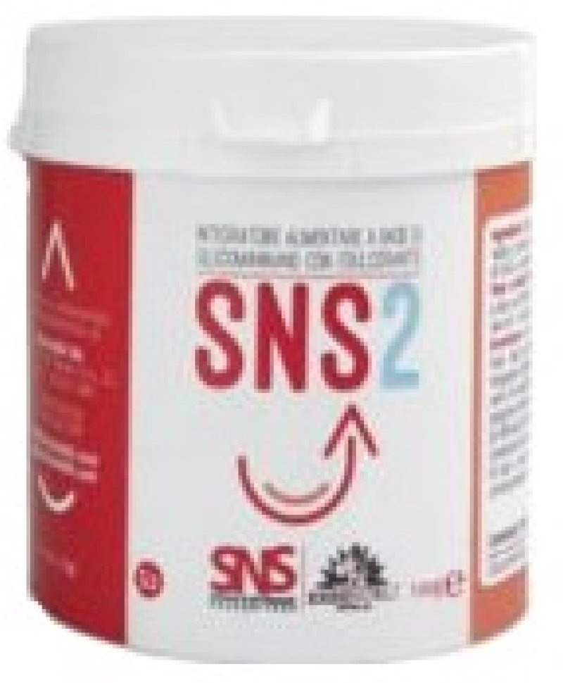 SNS2 100G