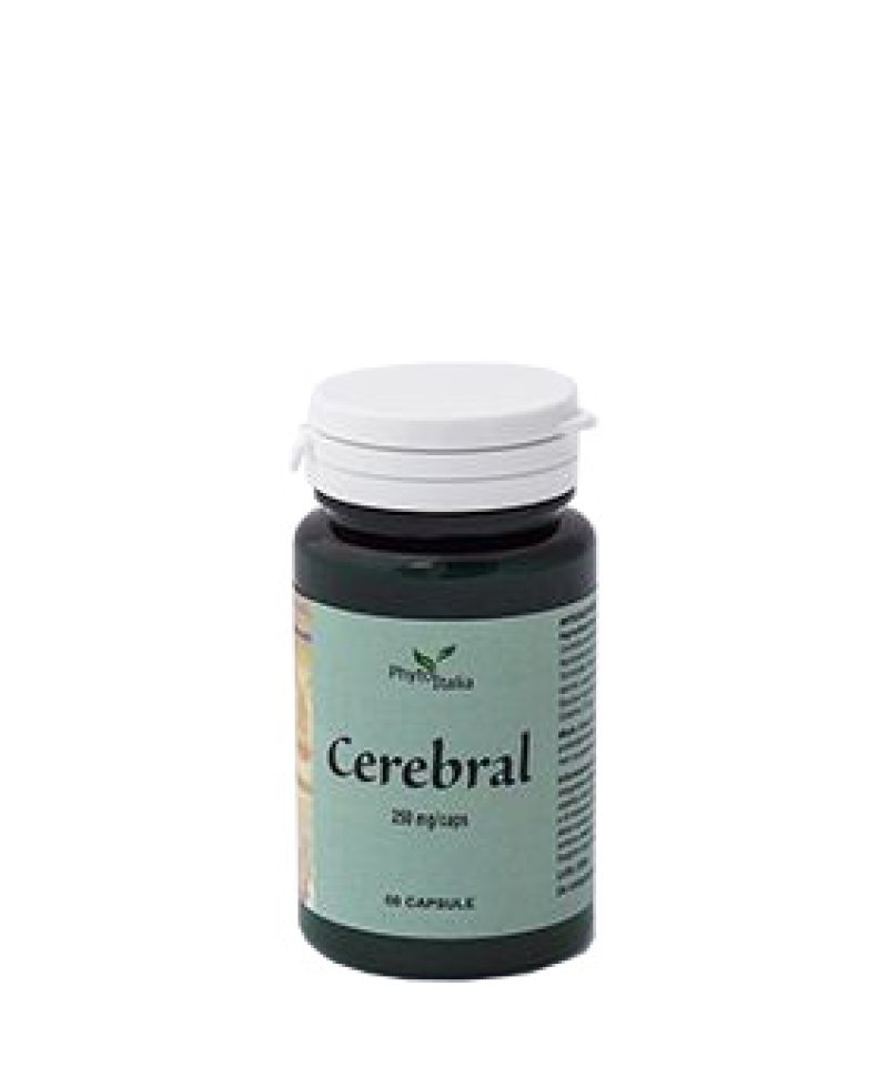 CEREBRAL AYURVED 60 Capsule