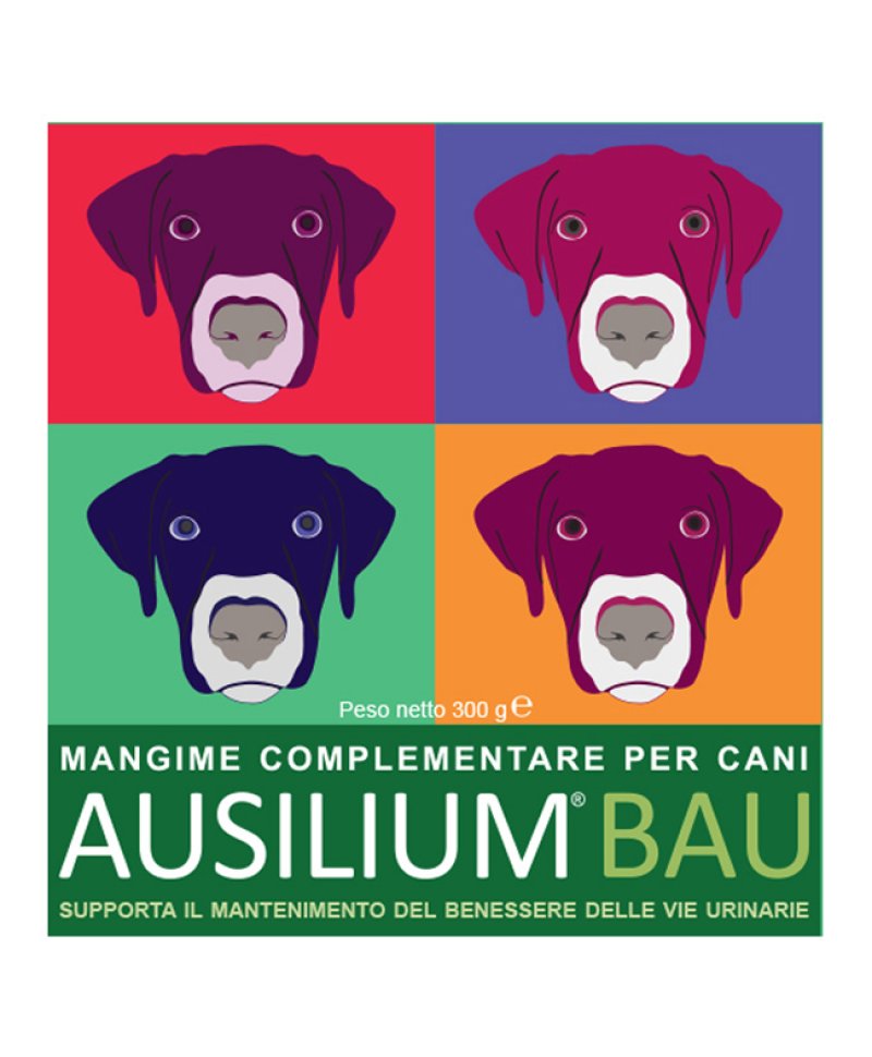 AUSILIUM BAU 300G C/MISURINO