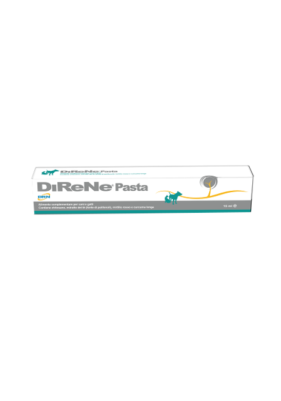 DIRENE PASTA 15ML