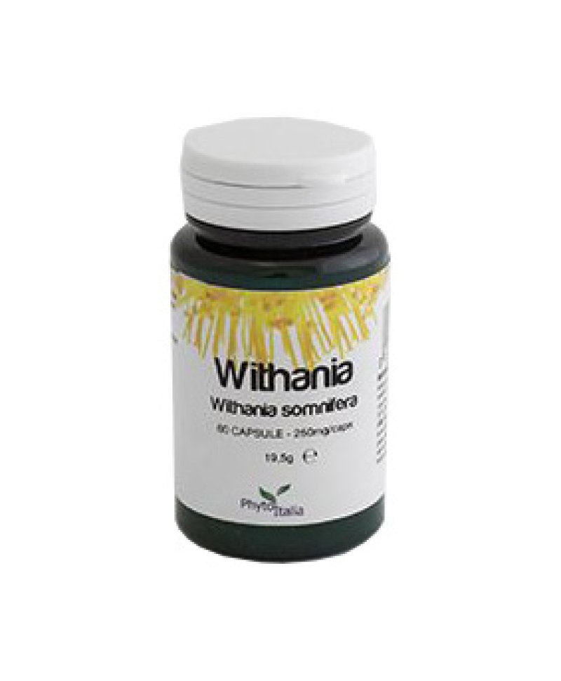 WITHANIA SOMNIFERA 60CPS WITHANIA SOMNIFERA 60CPS
