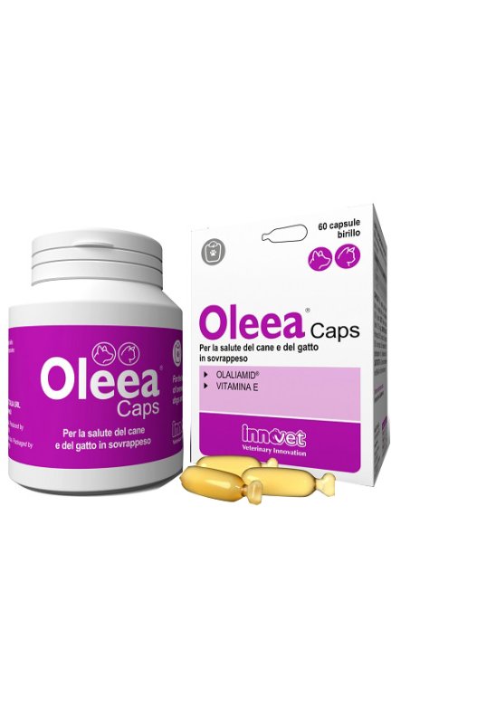 OLEEA CAPS 60  Capsule