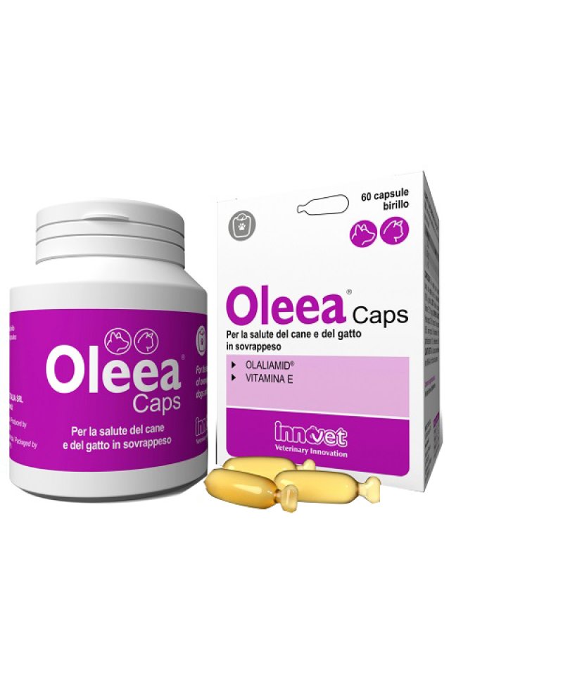 OLEEA CAPS 60  Capsule