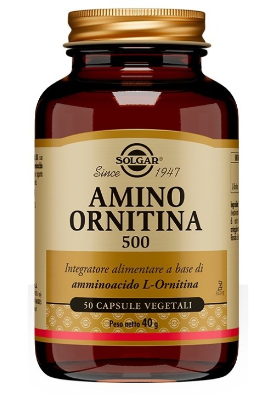 AMINO ORNITINA 500MG 50 Capsule