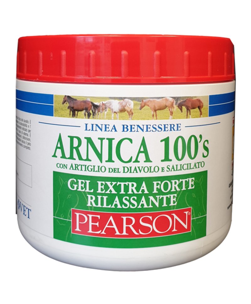 ARNICA 100'S EXTRA FT RIL500ML ARNICA 100'S EXTRA FT RIL500ML