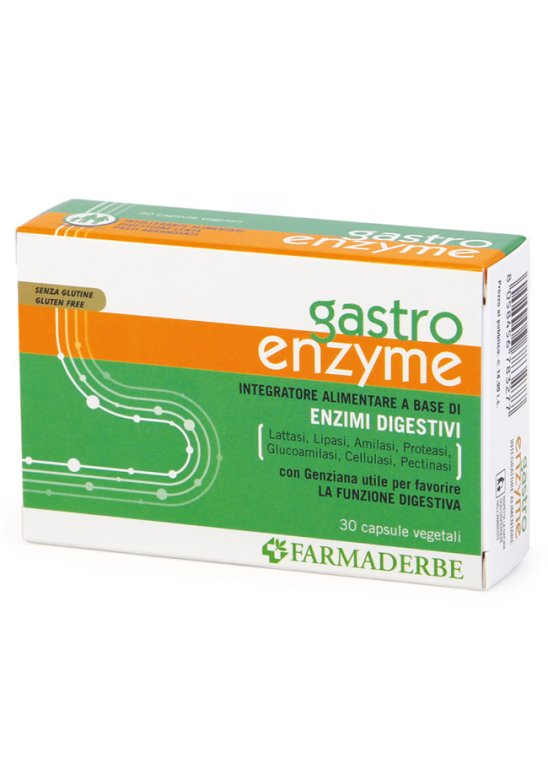 GASTRO ENZYME 30 Capsule