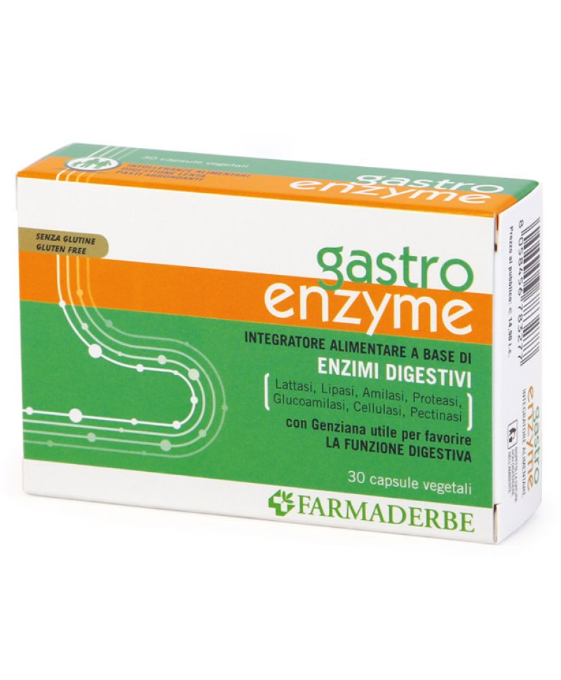 GASTRO ENZYME 30 Capsule