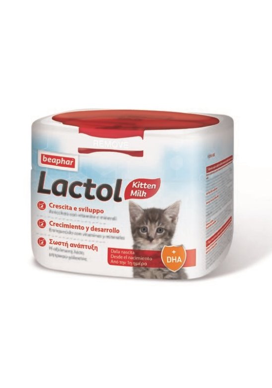 LACTOL GATTINO 250 GR
