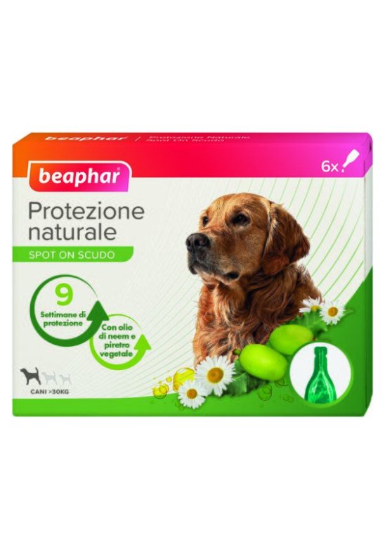 PROTEZIONE NAT SPOT ON C TG 6P