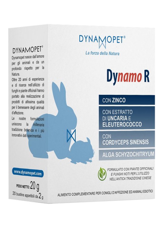 DYNAMO R 20BUST 2G