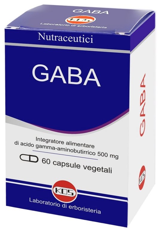 GABA 500MG 60 Capsule