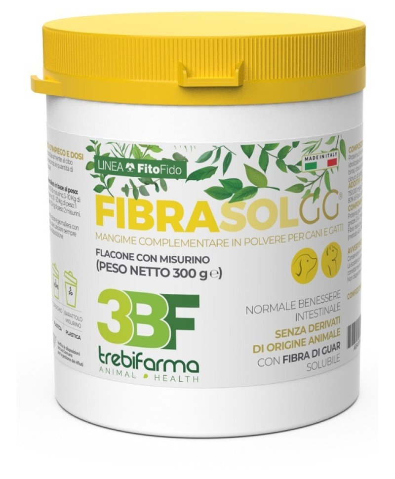 V FIBRASOL GG POLVERE 300GR