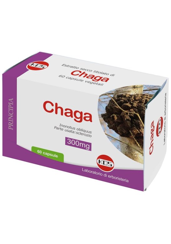 CHAGA ESTRATTO SECCO TIT 60CPS