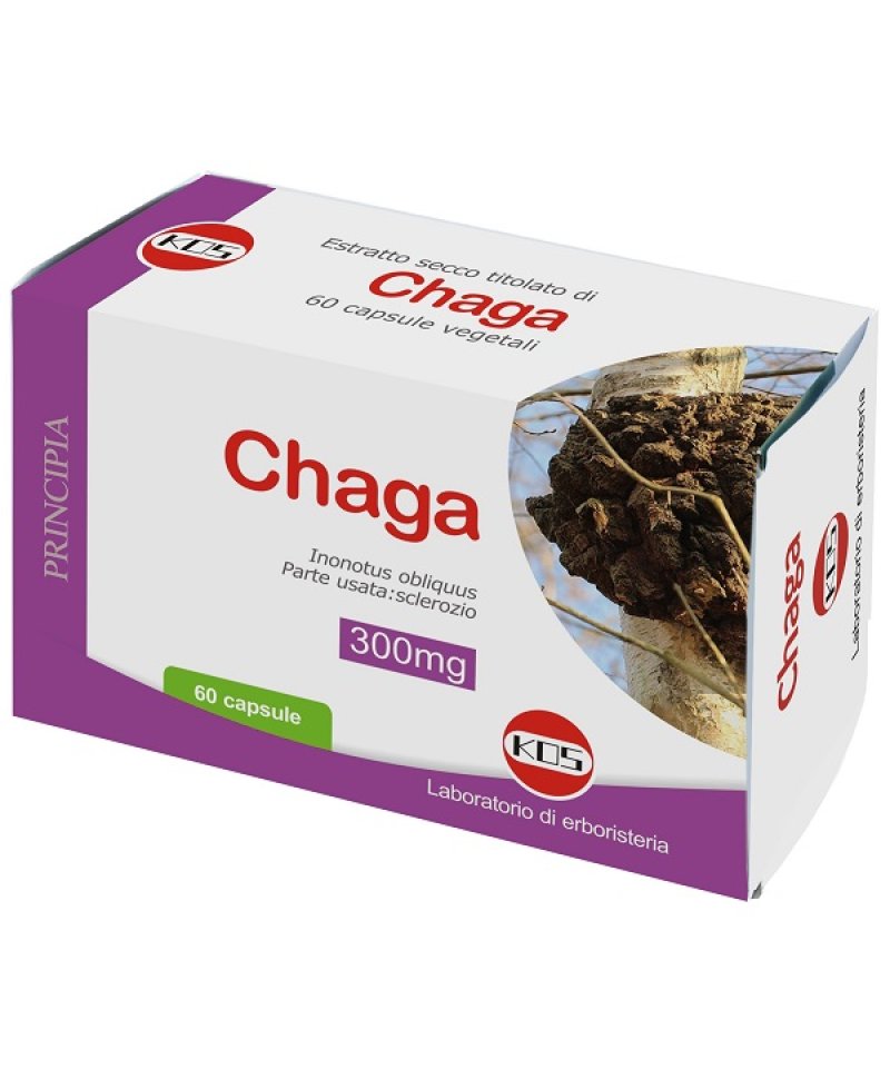 CHAGA ESTRATTO SECCO TIT 60CPS