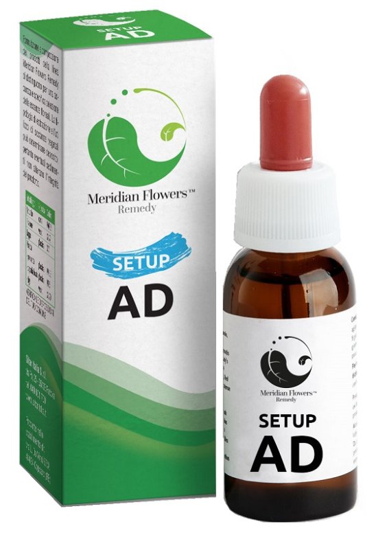 SETUP AD MERIDIAN FLOWERS REM