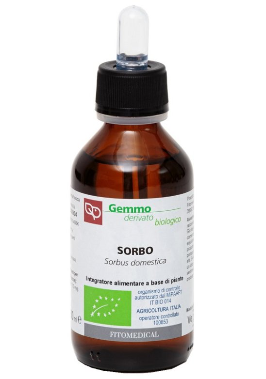 SORBO MG 100ML BIO SORBO MG 100ML BIO