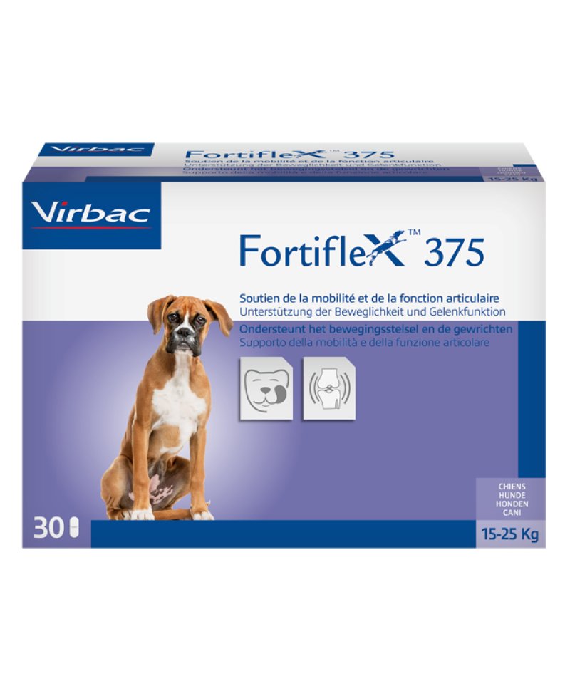 FORTIFLEX 375 MG 30 CPR